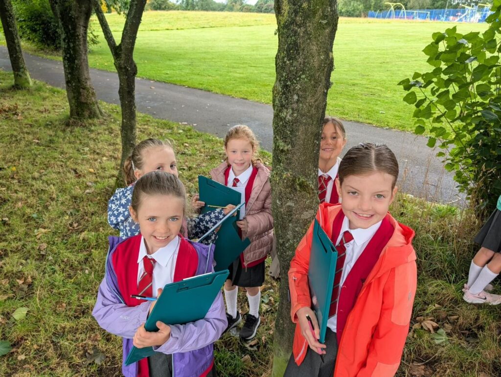 543183942 799741569294962 8667104419426822561 n