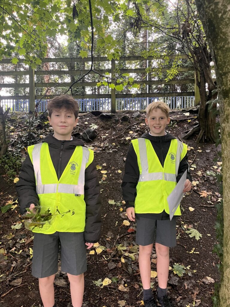 544456345 801946572407795 3888675025192928692 n