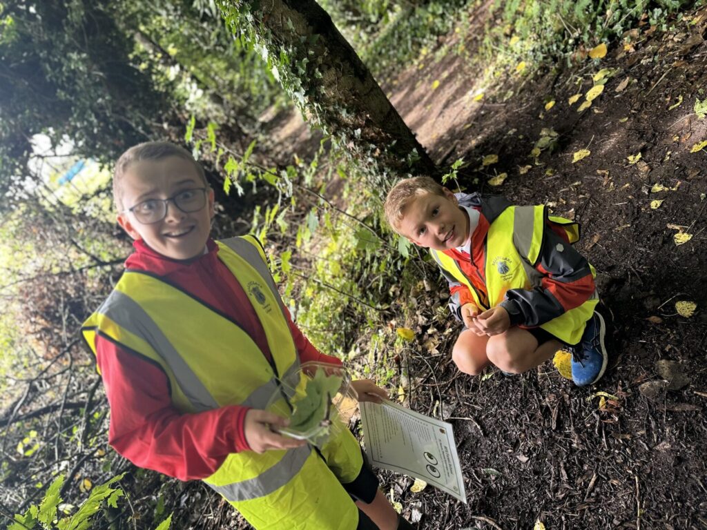 544815421 801946289074490 4073749595422328963 n