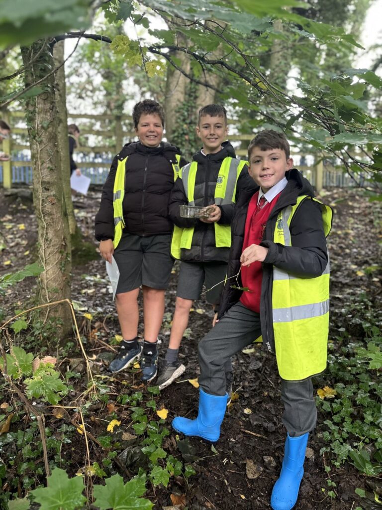 544957370 801946385741147 5109535626637095569 n