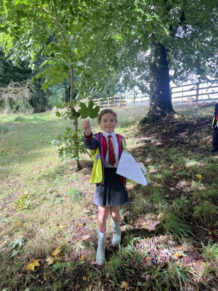 547388822 810698598199259 2829505716397243000 n