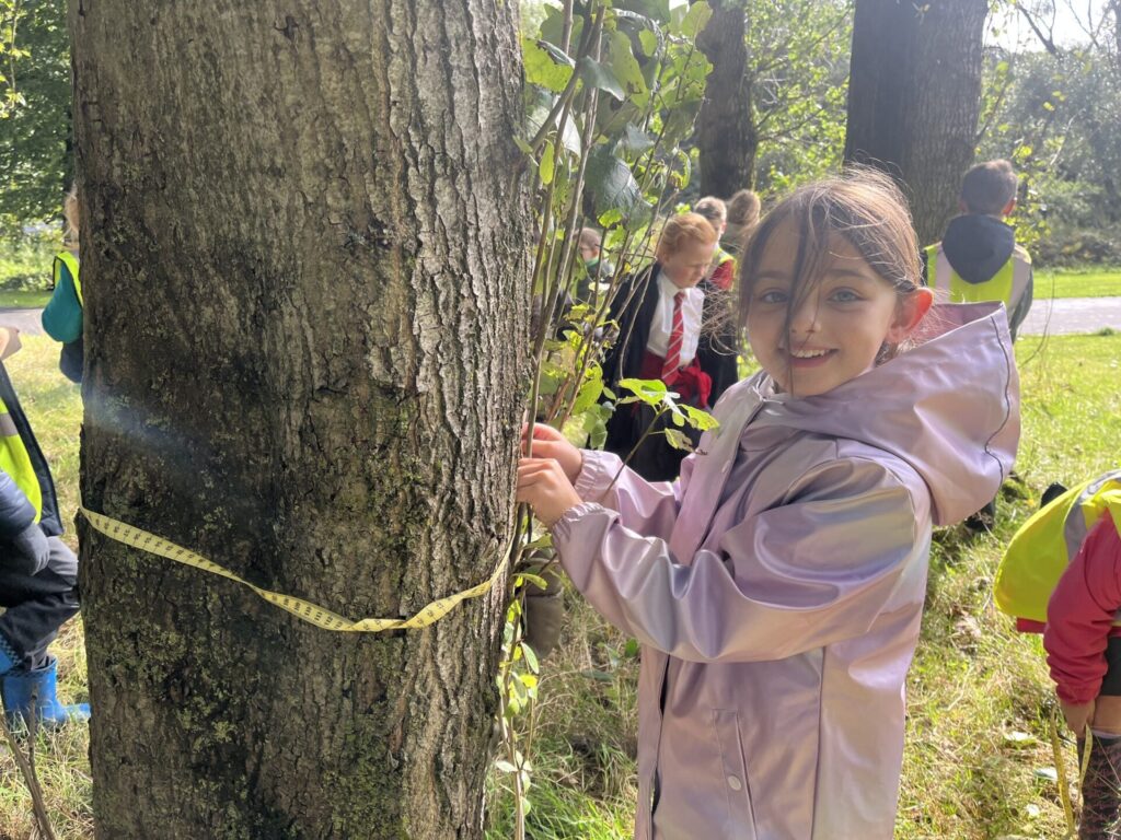 547409360 810698404865945 1266293874549780913 n