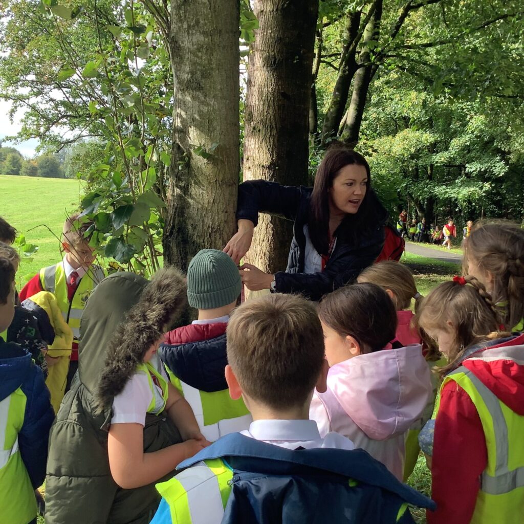 548607971 810698231532629 6078830070427454058 n