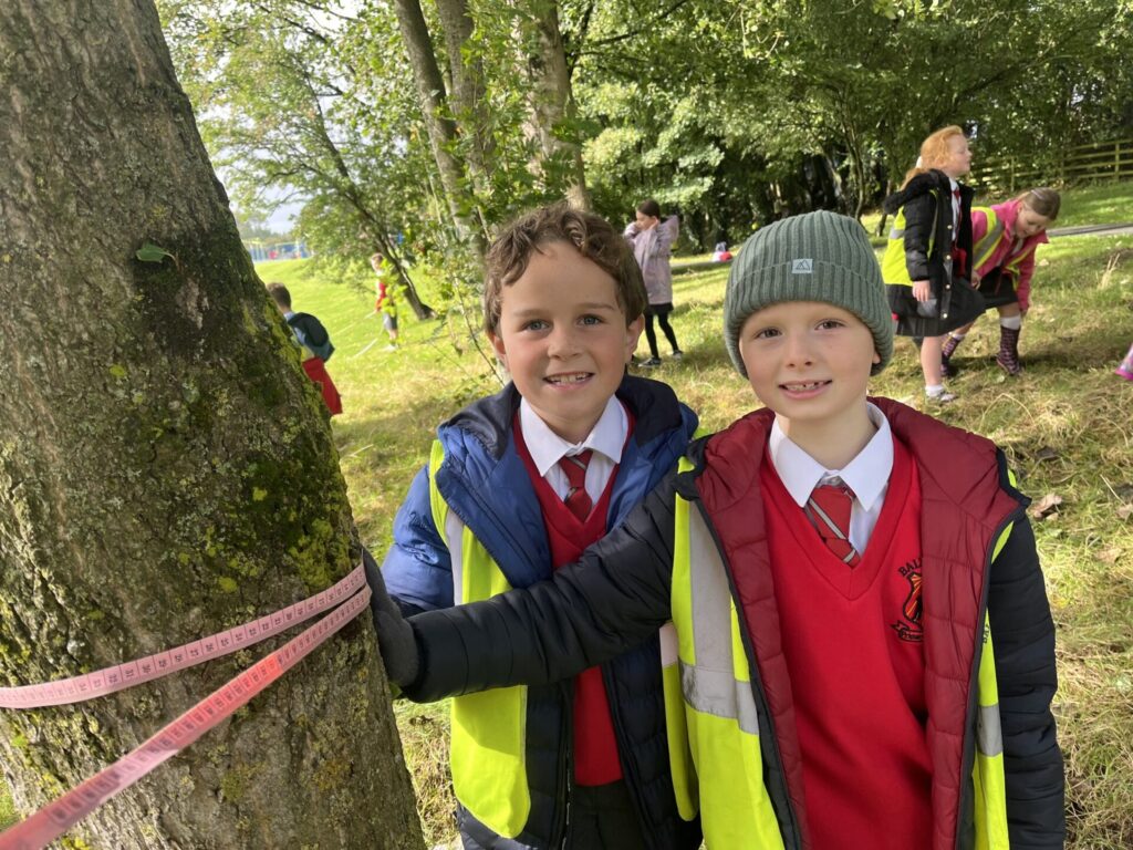 549155990 810698091532643 8092985978907680339 n