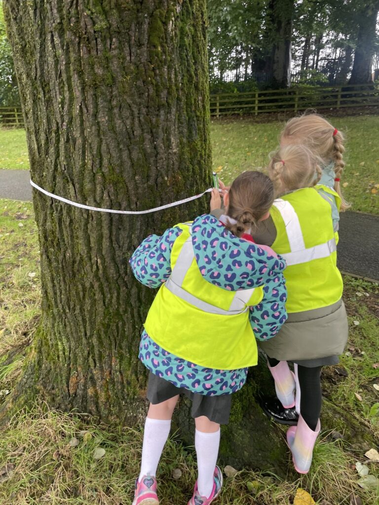 549894801 810698581532594 1458516551060332292 n