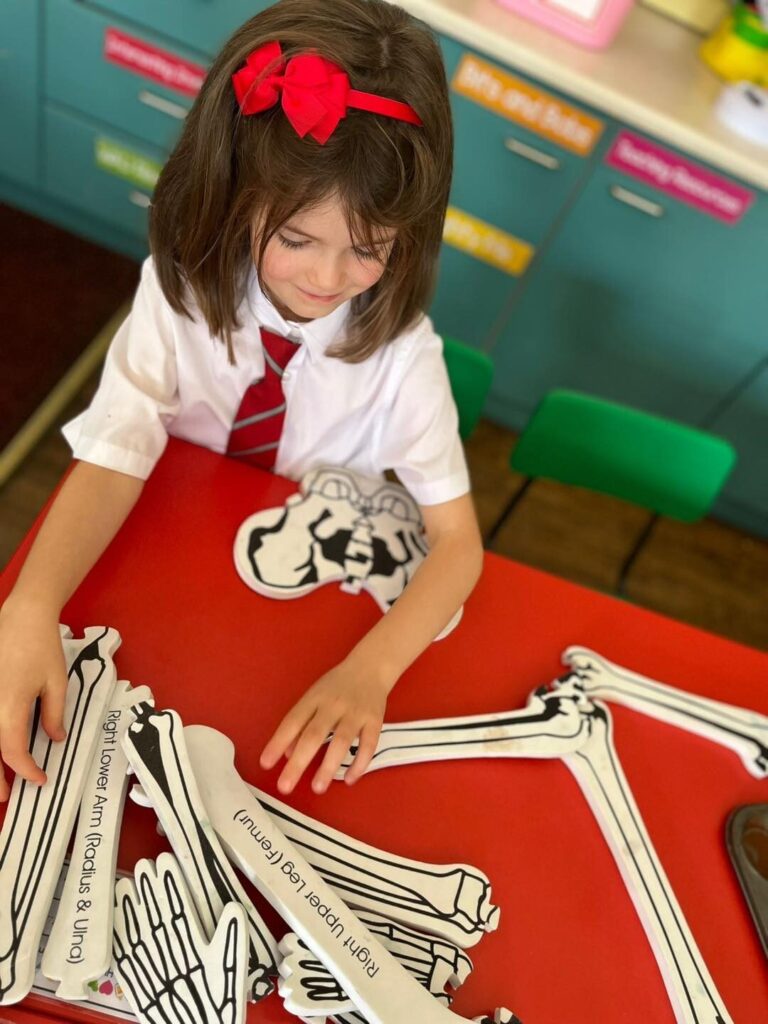 551040167 813104291292023 8864059737253165633 n