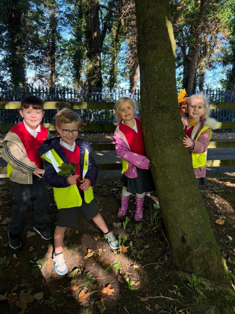 552737385 815613577707761 8191101330200708345 n