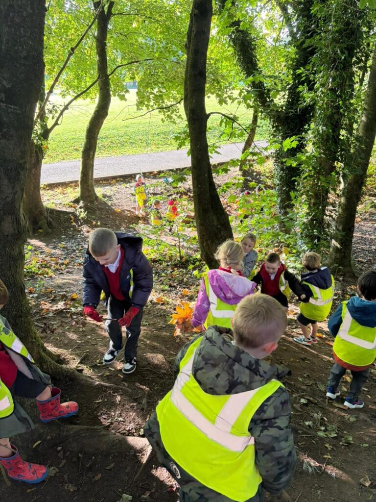 554918514 815613487707770 2827510122471695259 n