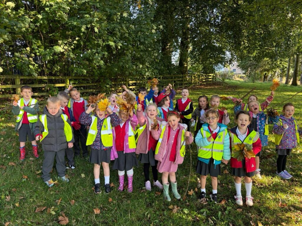 555410037 815613447707774 4665321891520846888 n