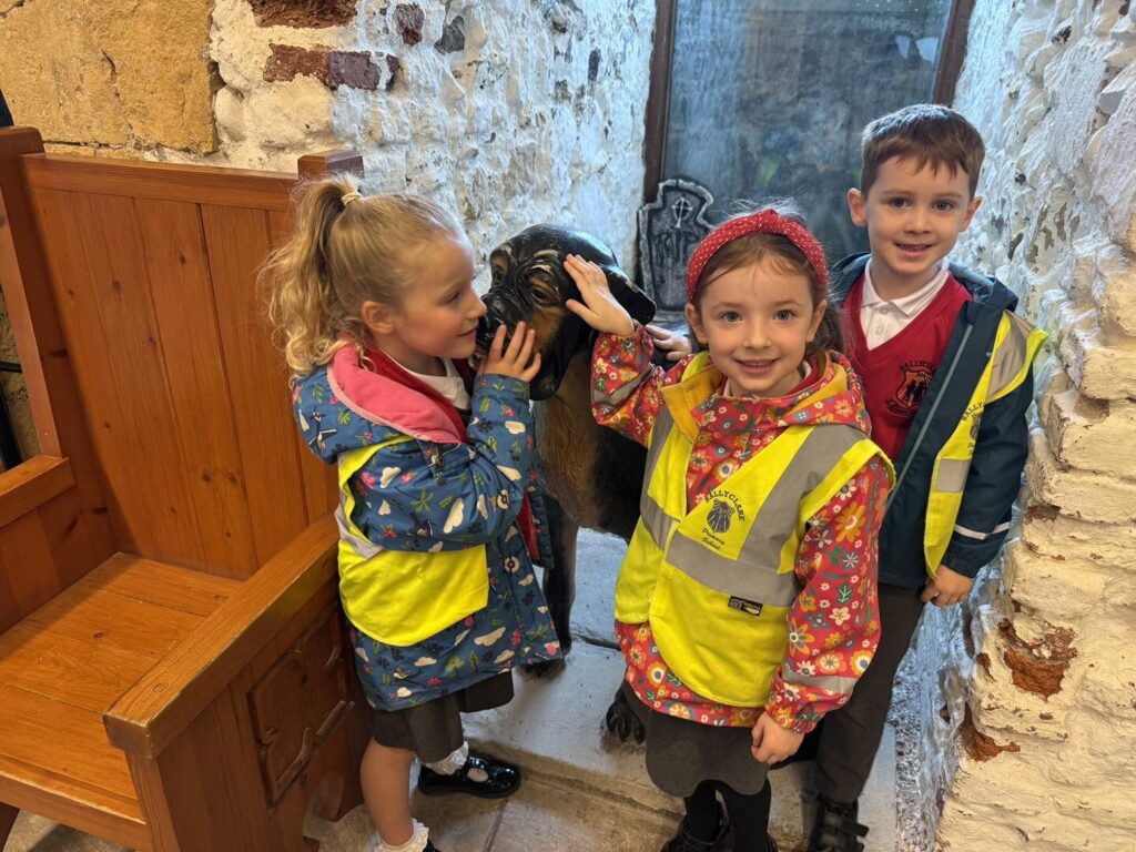 557631643 825831566685962 7975776863449115966 n