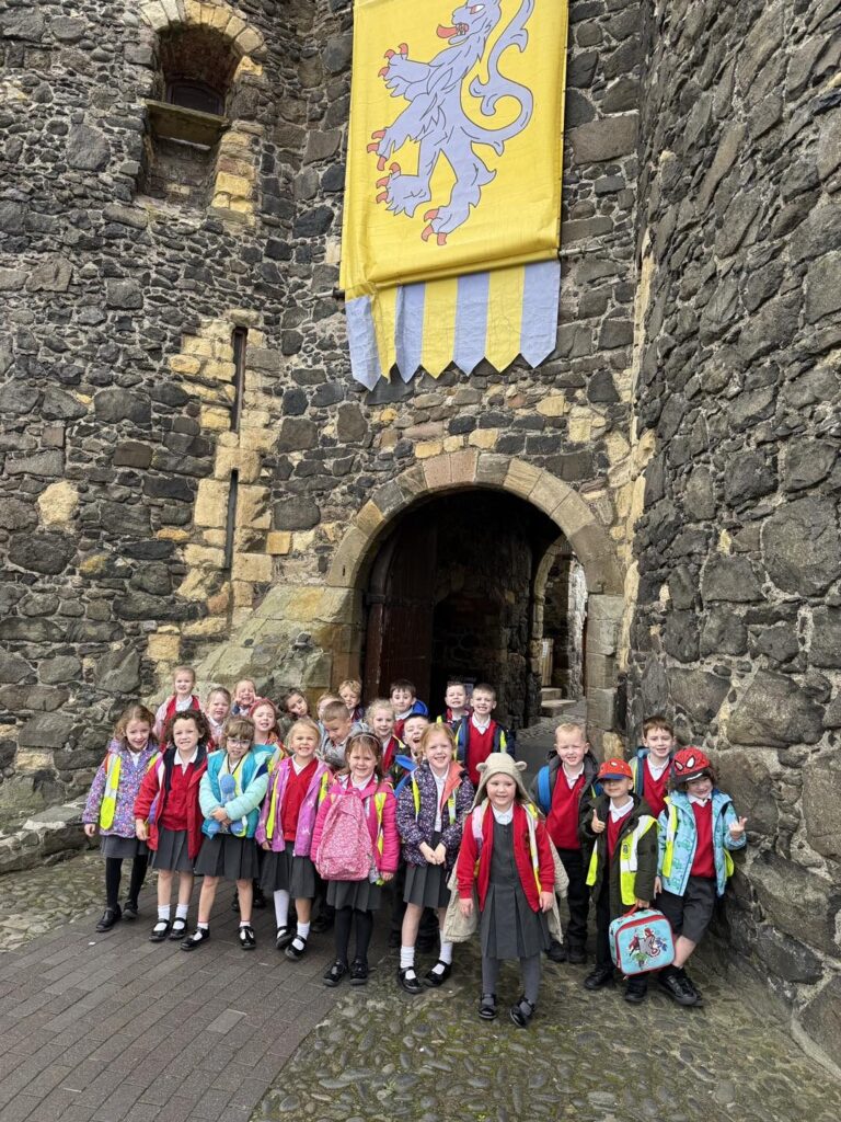 557639545 825831420019310 8566305076080479750 n