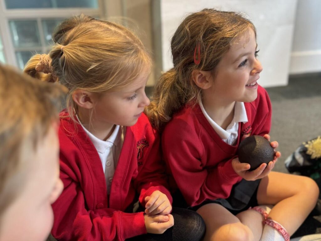 558769248 825831423352643 5549128802387960211 n