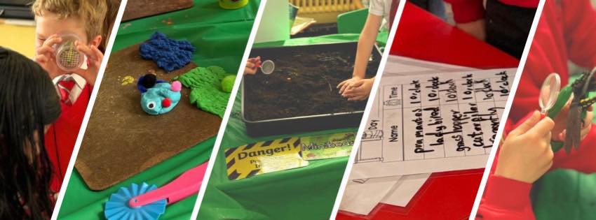 Minibeasts in P3
